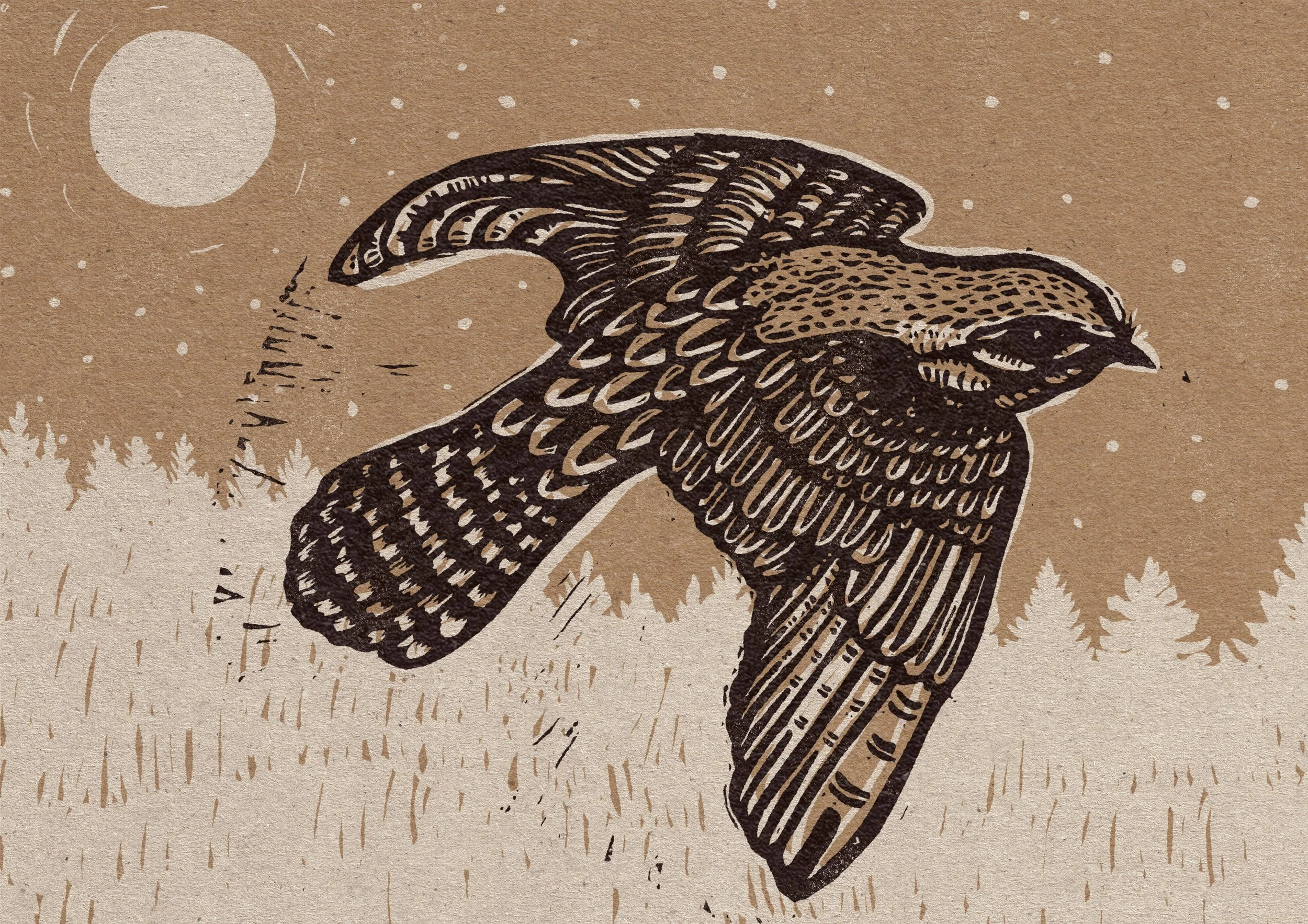 nightjar_paper.jpg