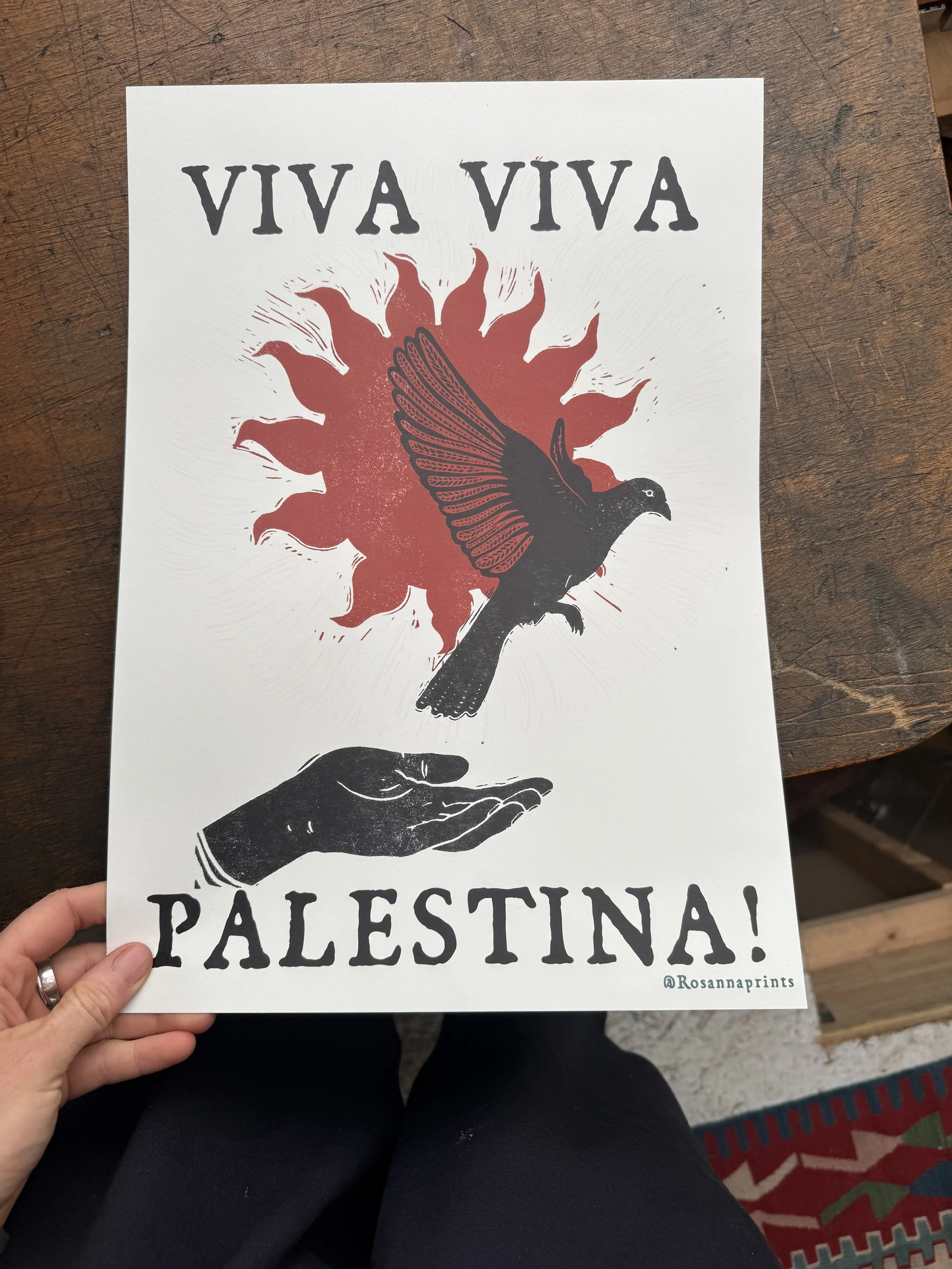 Viva Viva Palestina