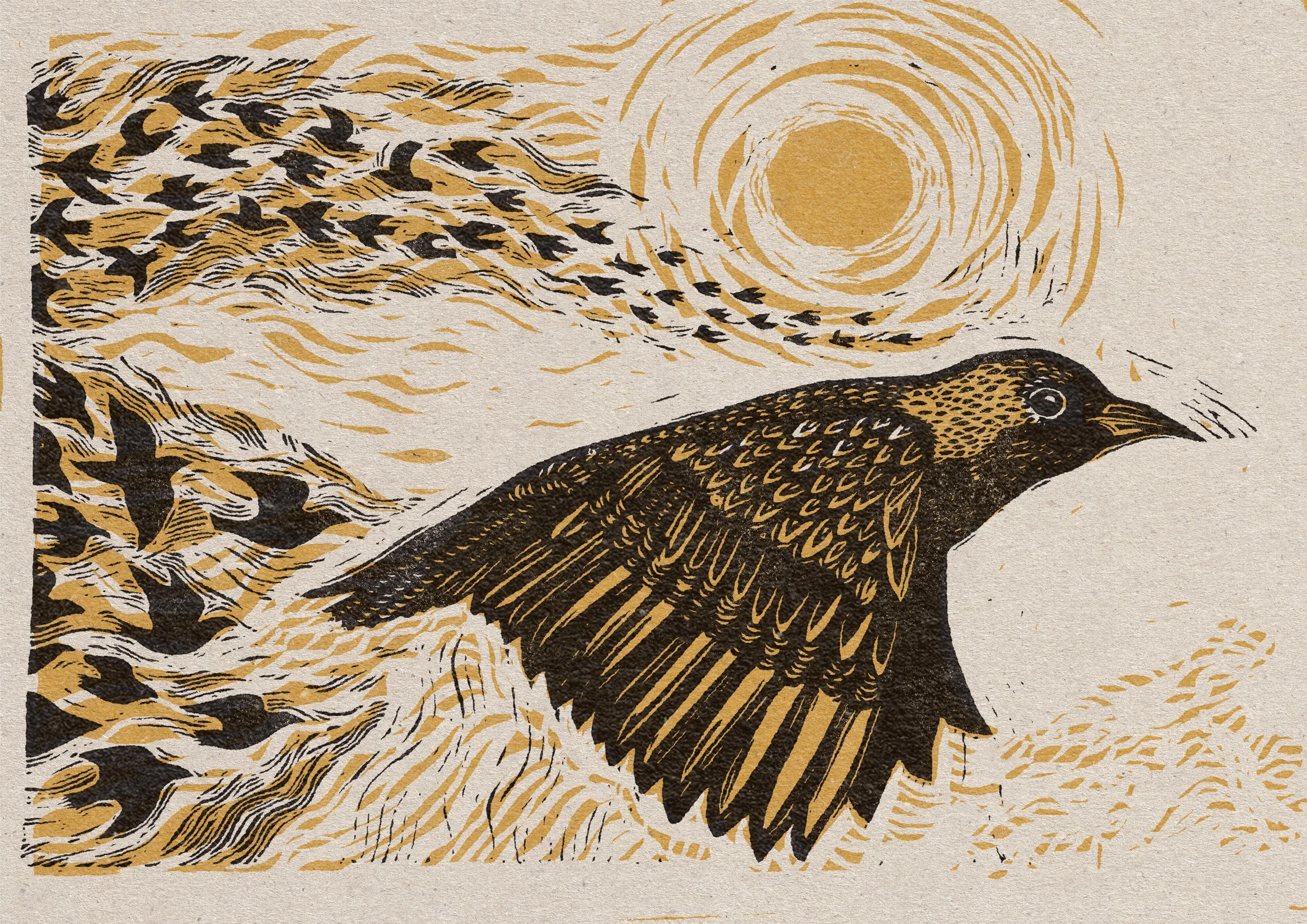 starlings.jpg