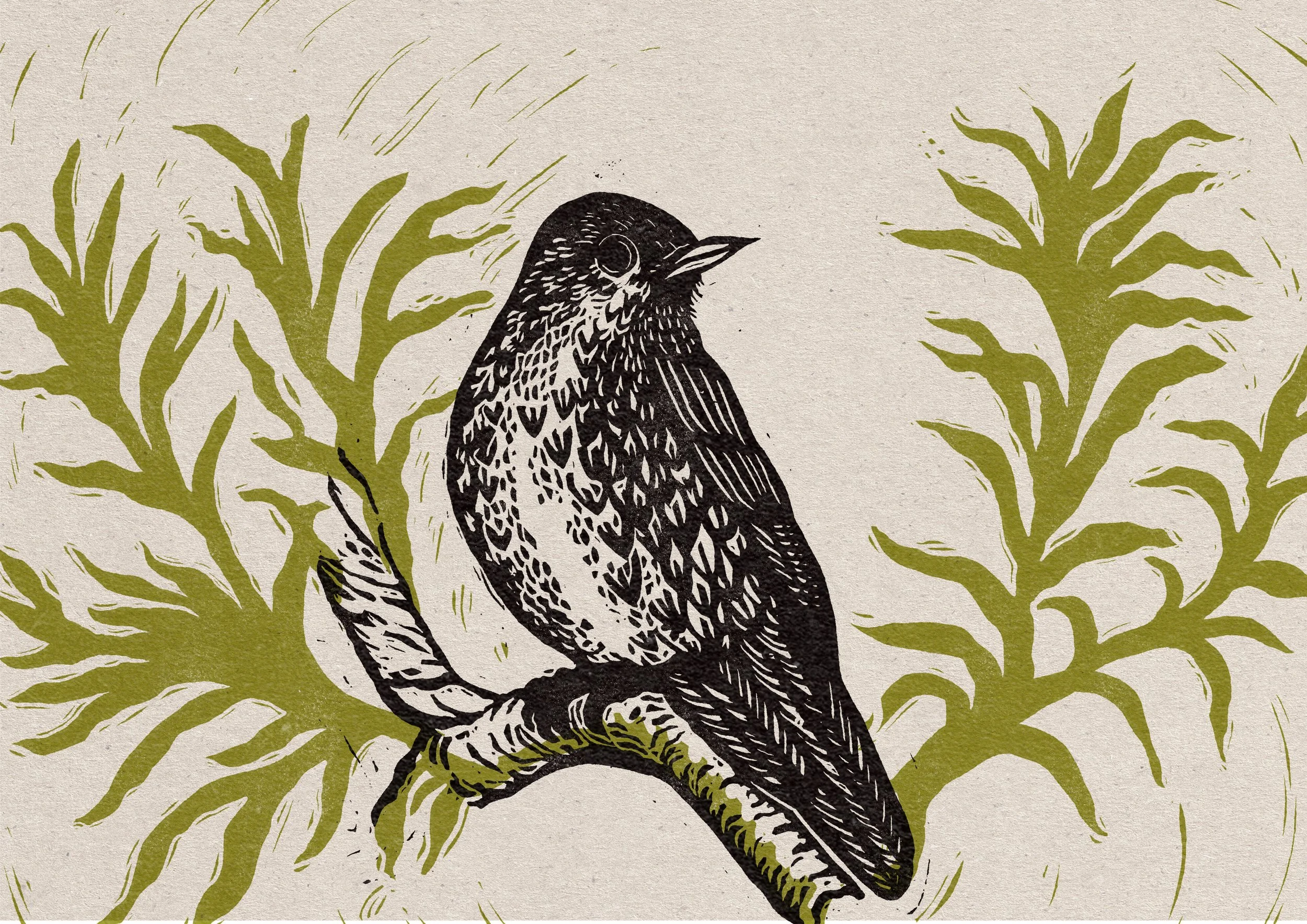 fieldfare.jpg