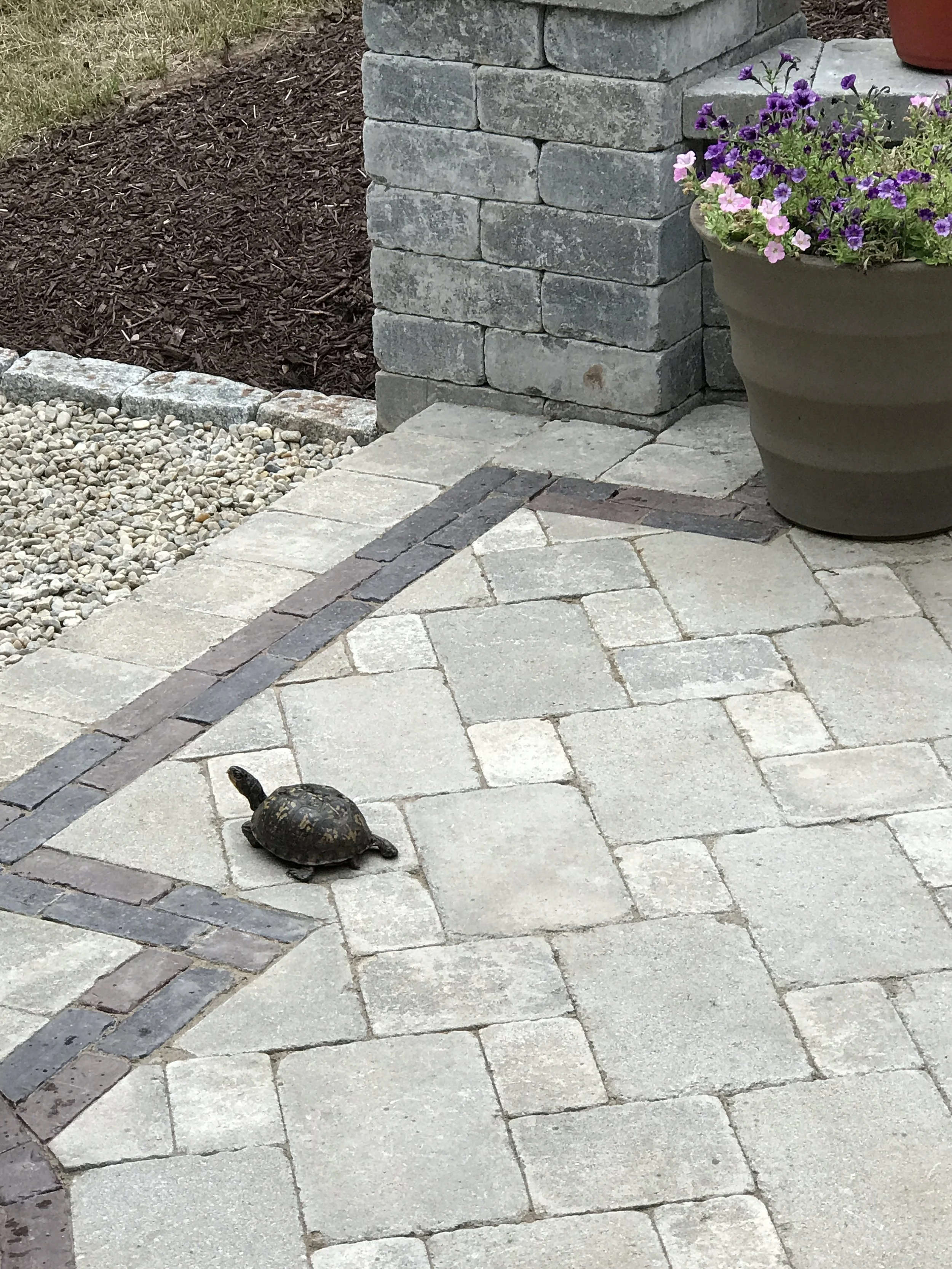 Hardscape and Masonry
