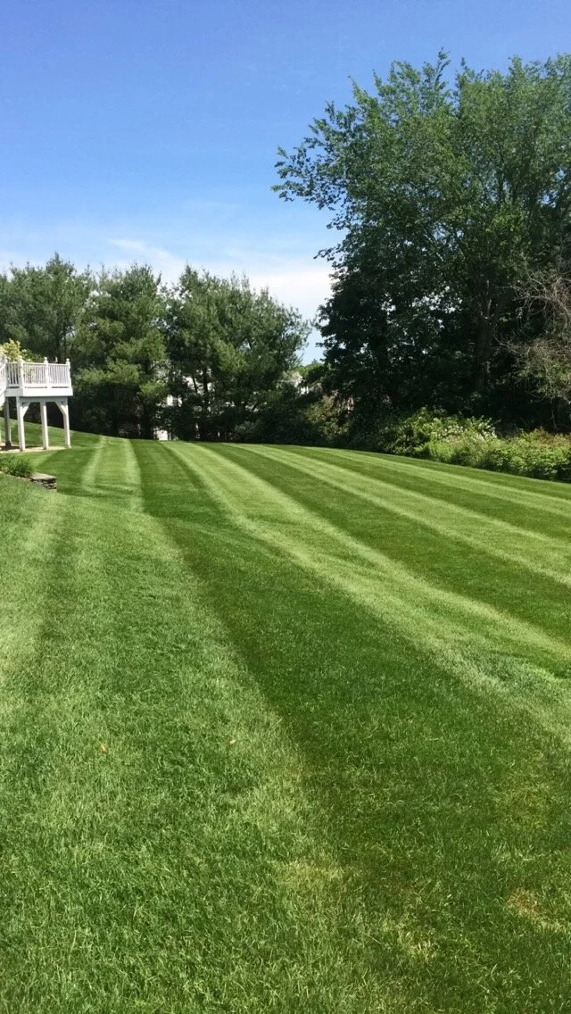 Property Maintenance 