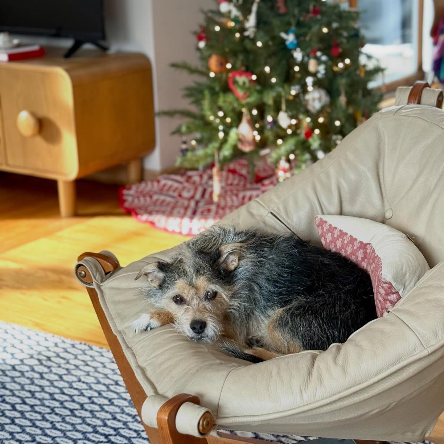 A moment of calm while the kiln is cooling ✨