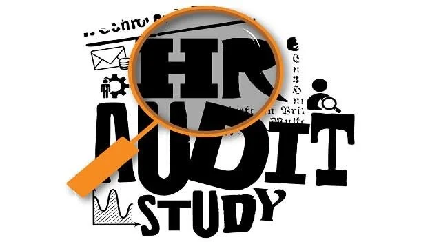 Top 5 HR Audit Tips for SME's