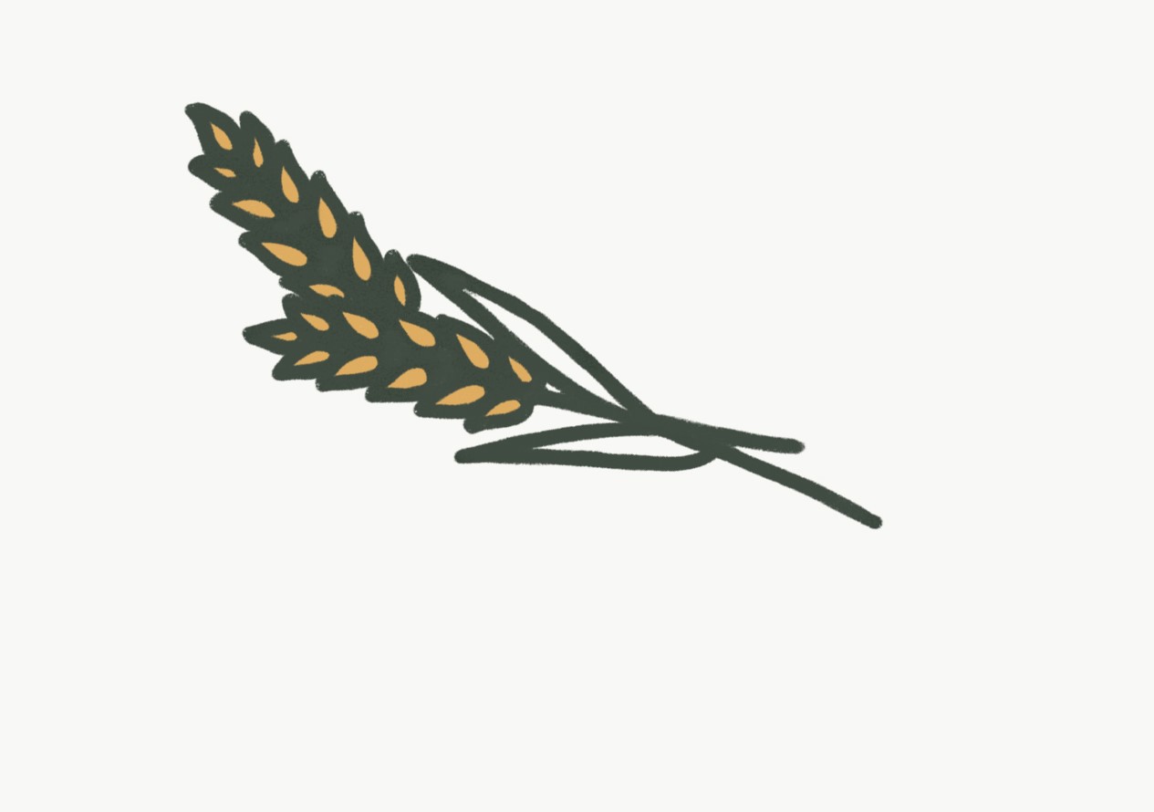 Wheat logo.jpg