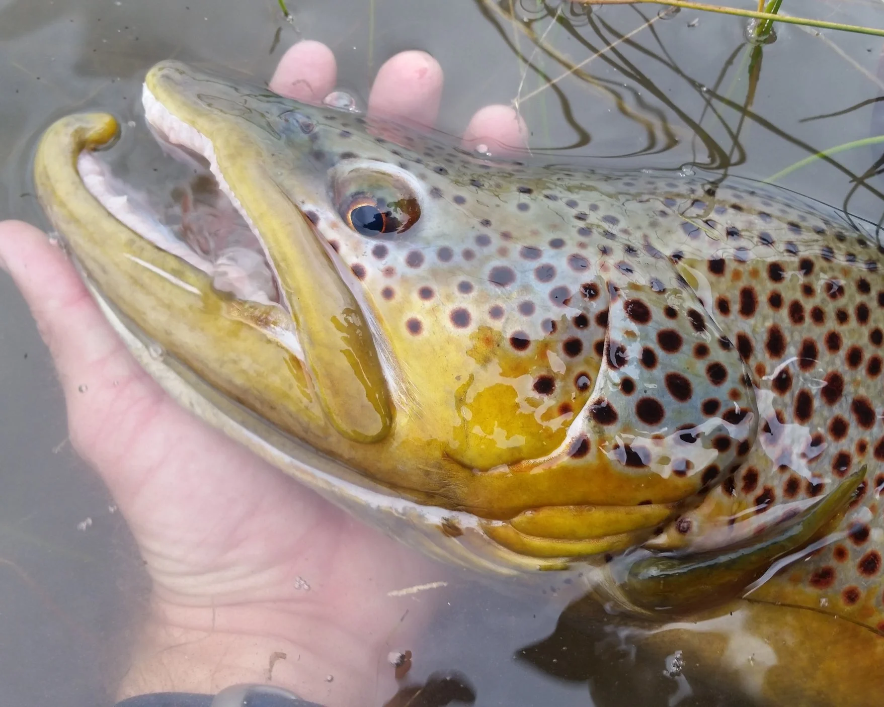 20140922_162316.jpg