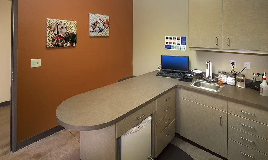 Hendricks Vet Hospital - Boise, ID Int.-12.jpg