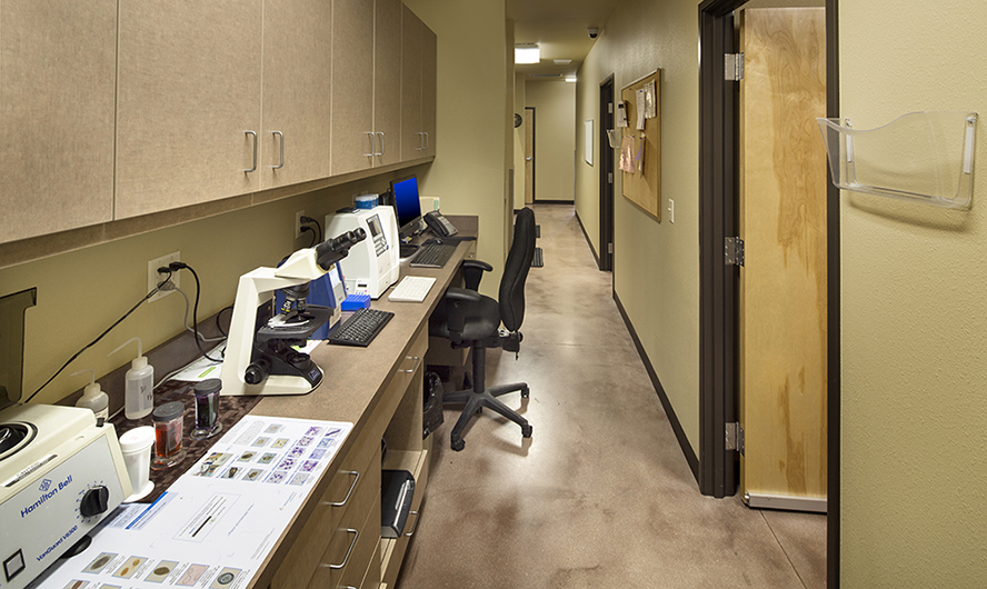 Hendricks Vet Hospital - Boise, ID Int.-13.jpg