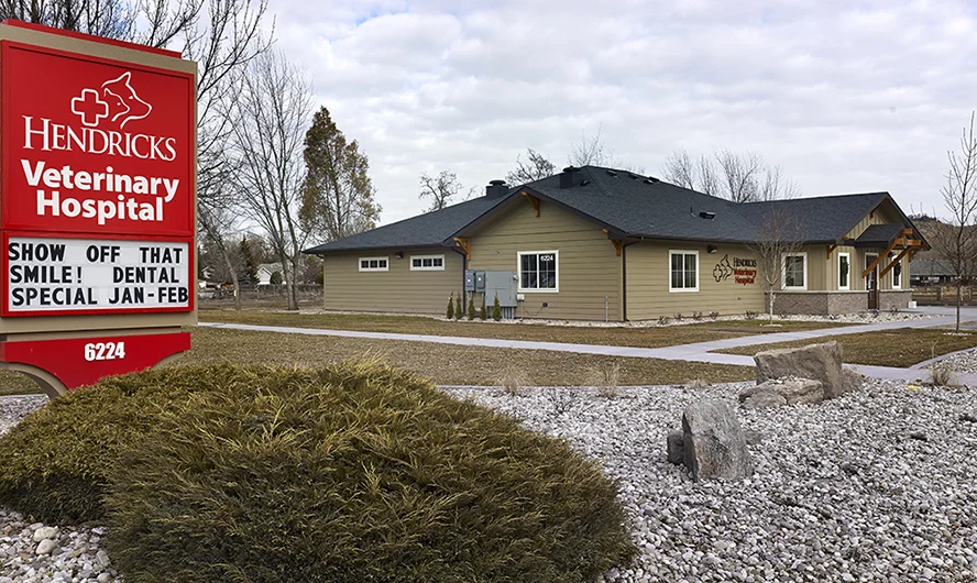 Hendricks Vet Hospital - Boise, ID Ext.-1.jpg