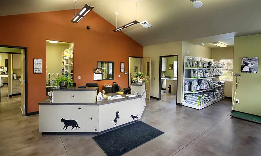 Hendricks Vet Hospital - Boise, ID Int.-1.jpg