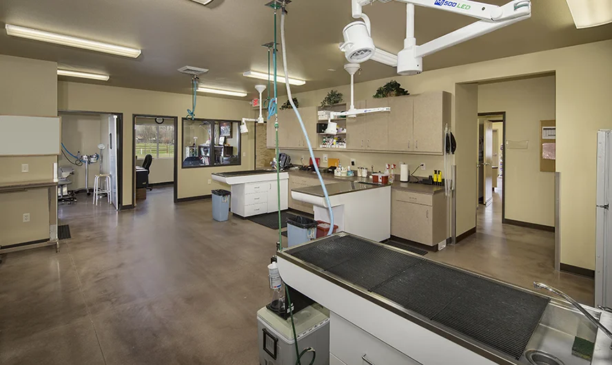 Hendricks Vet Hospital - Boise, ID Int.-3.jpg