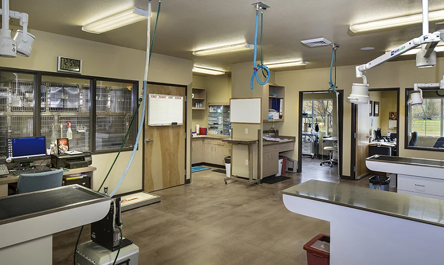 Hendricks Vet Hospital - Boise, ID Int.-5.jpg