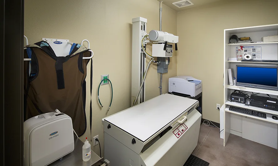 Hendricks Vet Hospital - Boise, ID Int.-9.jpg