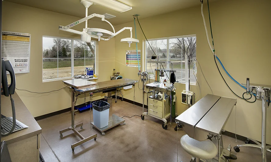 Hendricks Vet Hospital - Boise, ID Int.-8.jpg