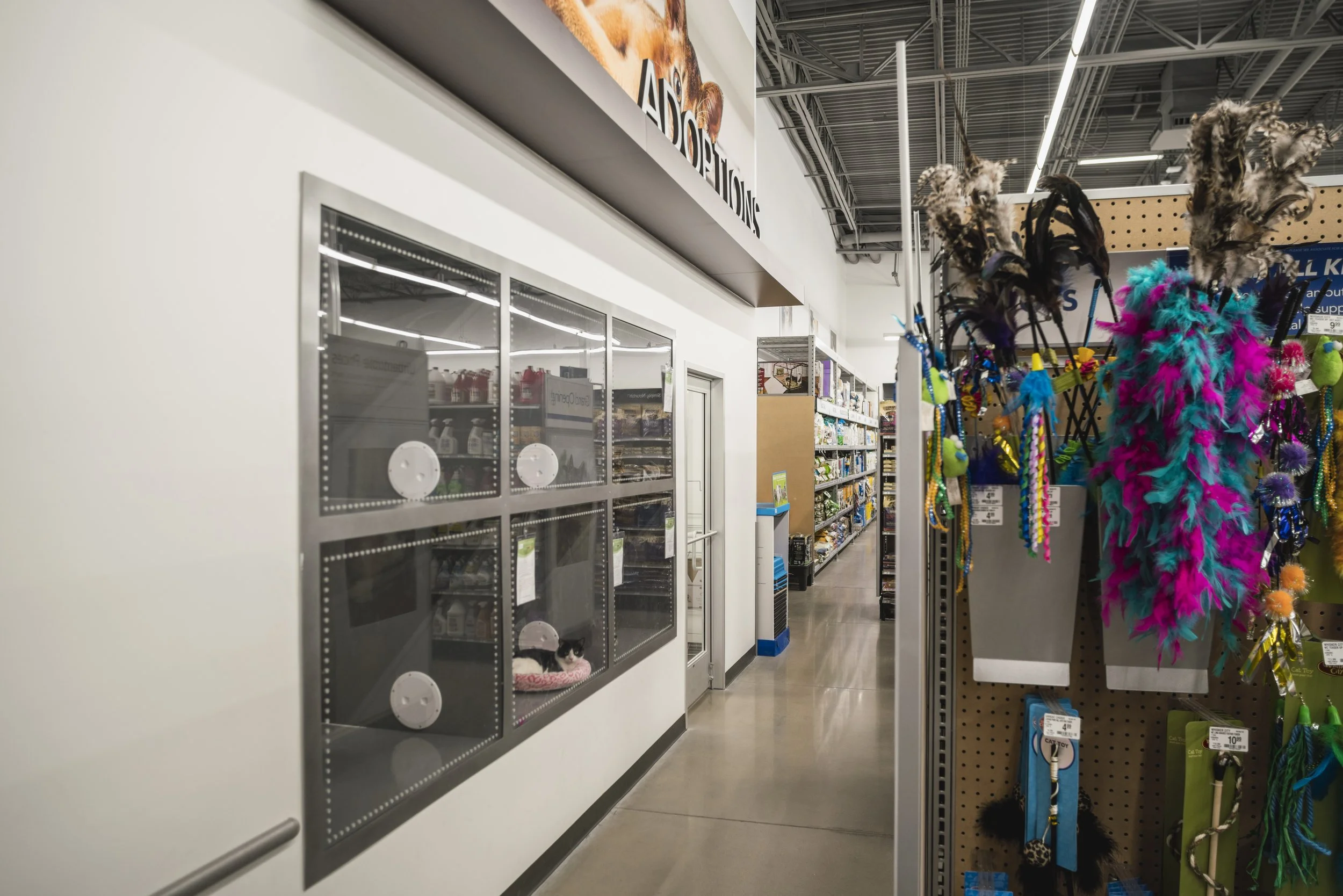 PetSmart - Riverton, UT - Int.-11.jpg