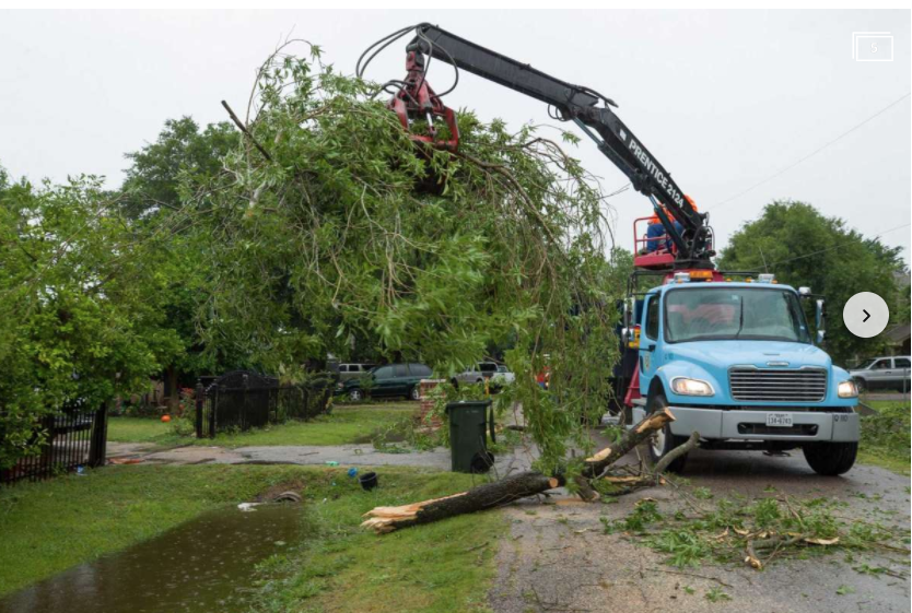 Houston arborist discusses tree care tips during storms, hurricanes