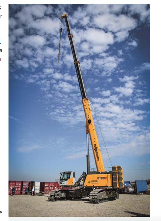 Cranes: High and mighty