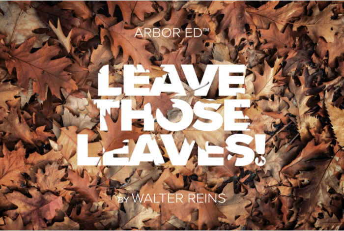LEAVE THOSE LEAVES!