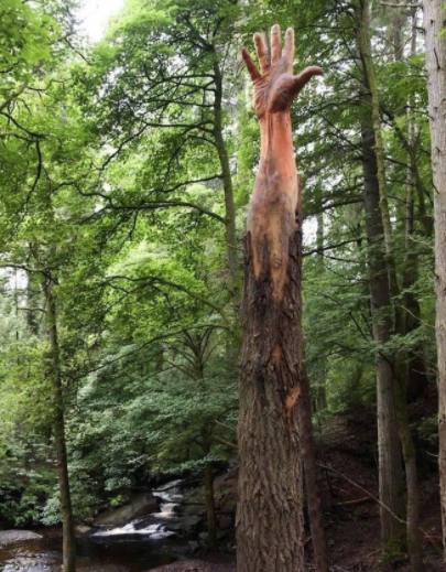 Chainsaw mastery: Artist carves tree into gigantic human hand