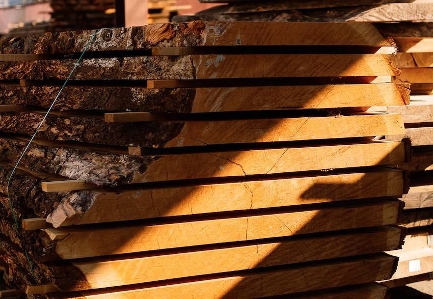 How Wood Shaped Human History, from spears to boats to books
