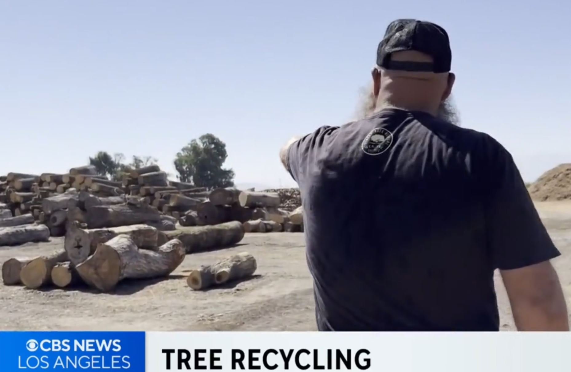 How arborists are working to reuse fallen trees from California's "urban forest"