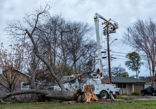 The Latest Innovations in Equipment for Vegetation Management