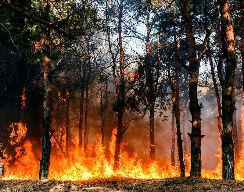 Fire Prevention in the Field