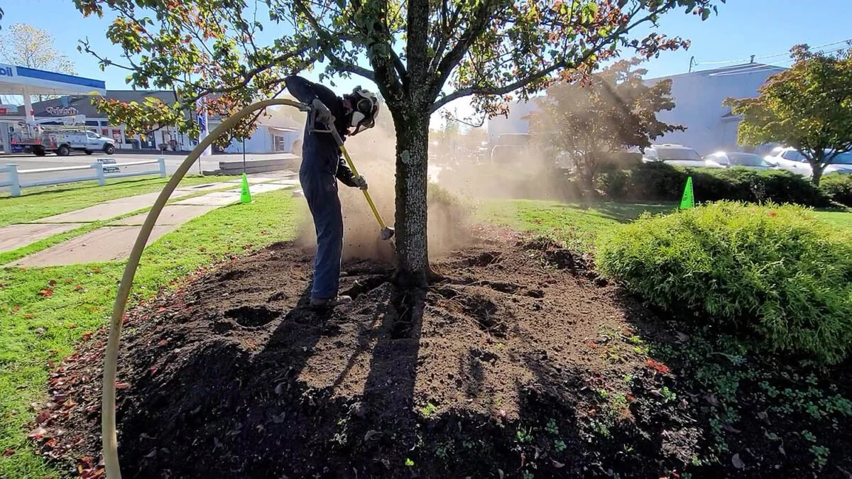 Cultivating Success: A Guide to Launching Plant-Health-Care Programs