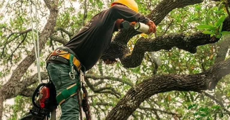 Roots of a Crisis – Where are the Young Recruits?