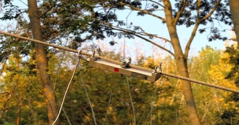 How Advanced Diagnostics are Saving Trees