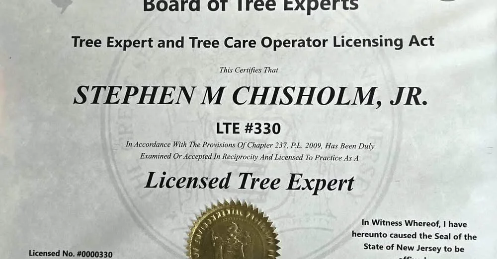 State Licensing for Tree Care Companies: Pros and Cons