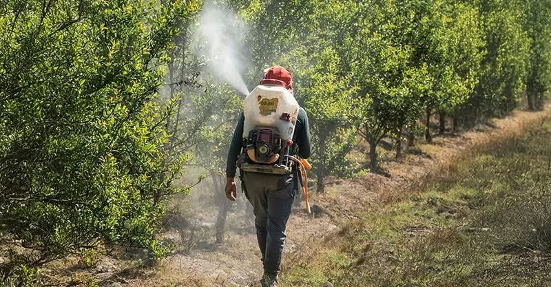 Keeping Green Through the Cold