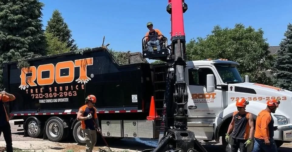 Fast &amp; Efficient Grapple Truck Pickups for Yard Debris