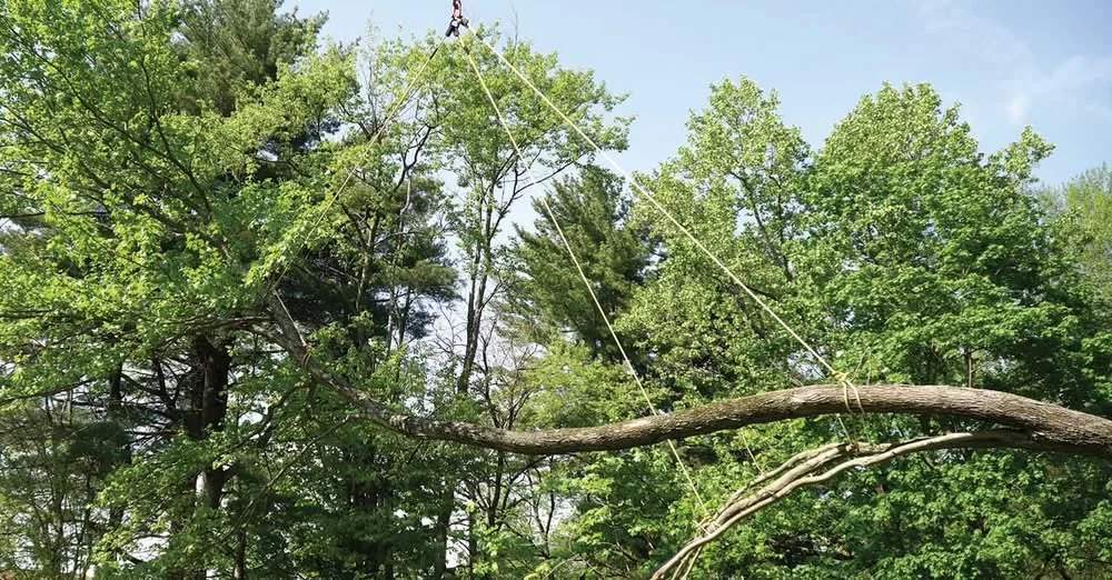 Lift Plans for Crane-Assisted Technical Rigging