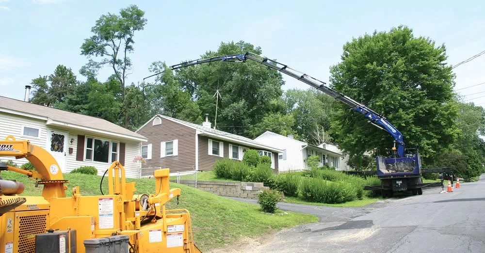 Knucklebooms in Tree Care: From Curiosity to Cornerstone