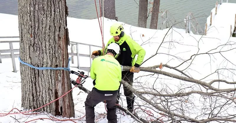 Building a Rigging Kit