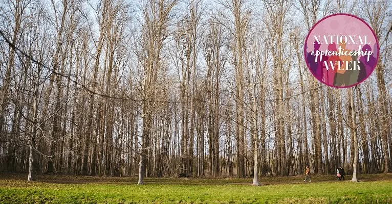 Forestry Commission introduces new scheme to support small employers