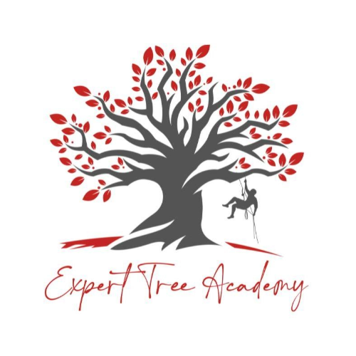 Expert Tree Academy.png