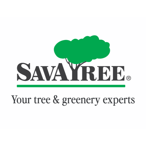SavaTree.png