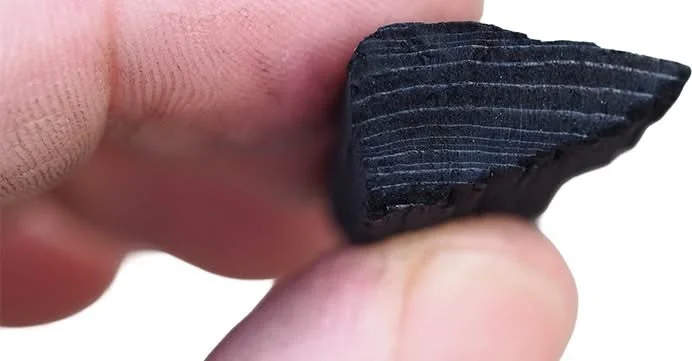 Rebuilding Urban Soils: What Arborists Need to Know About Biochar