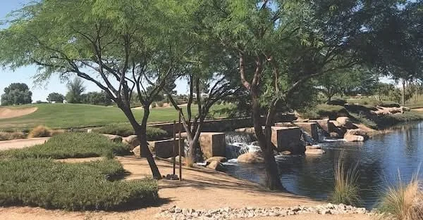 Where Certified Arborists Are Spread Thin