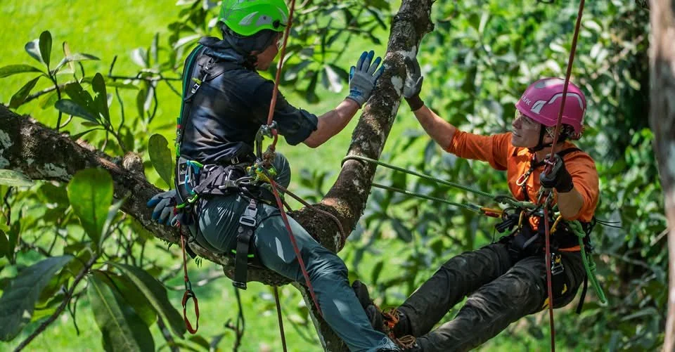 Discovering the Canopy: Climbing Meets Conservation, Discipline and Trust