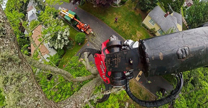 Grapple Saw Material Handling