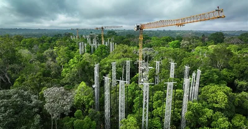 Liebherr Tower Cranes Lifting Scientists above the Amazon Rain Forest Canopy at AmazonFACE