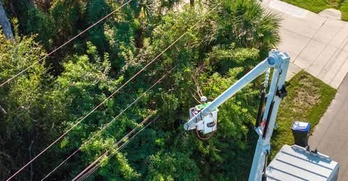 ANSI Z133-2026: The Progression of Electrical Qualifications