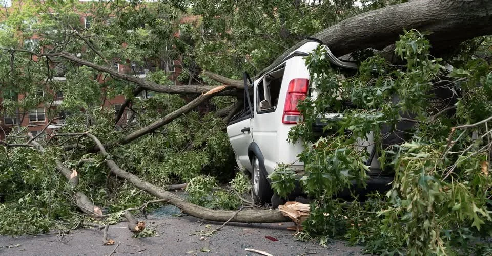 TCIA’s Storm Network Helps Members Prepare Before Disaster Strikes