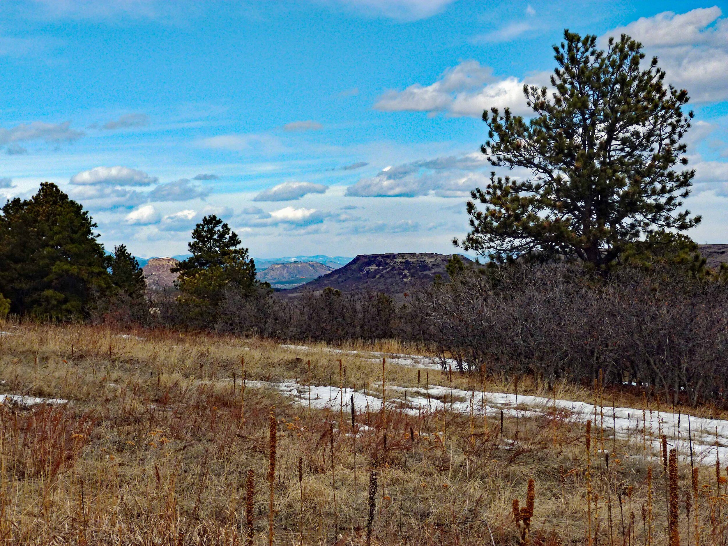 Land For Sale Larkspur Colorado Photo 4.jpg