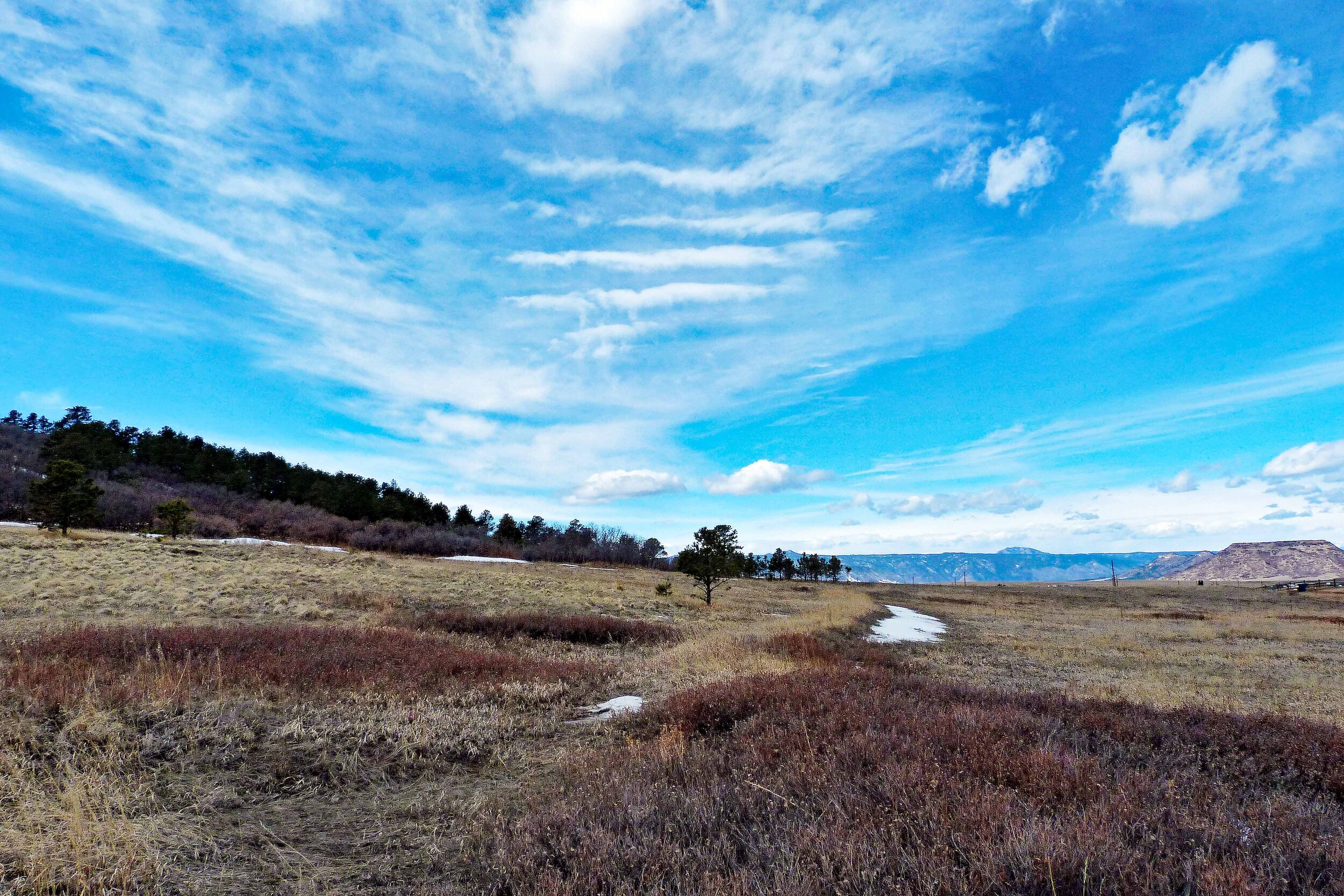 Land For Sale Larkspur Colorado Photo 8.jpg