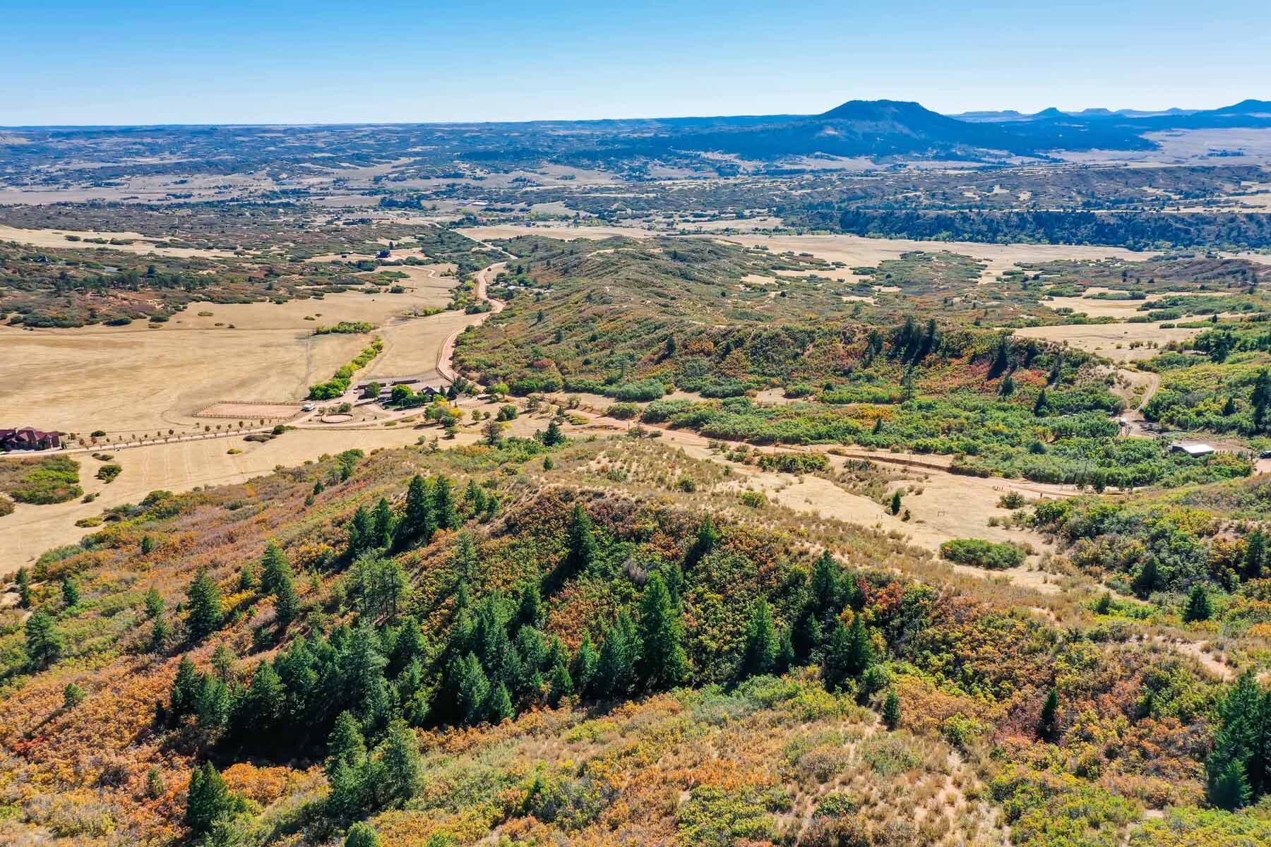 1a Land For Sale Sedalia Colorado Jackson Creek Douglas County.jpg