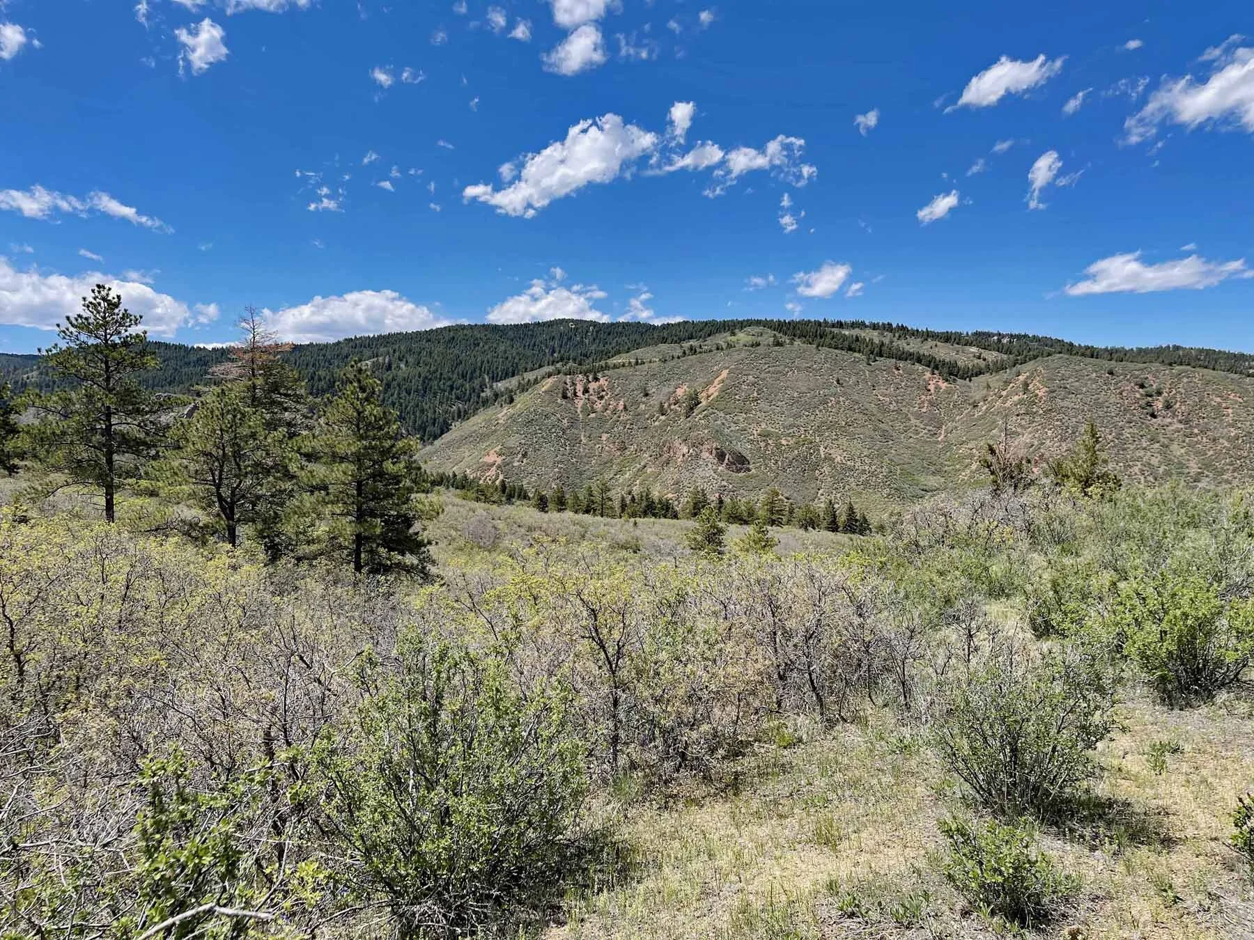 7 Land For Sale Sedalia Colorado Jackson Creek Douglas County.jpg